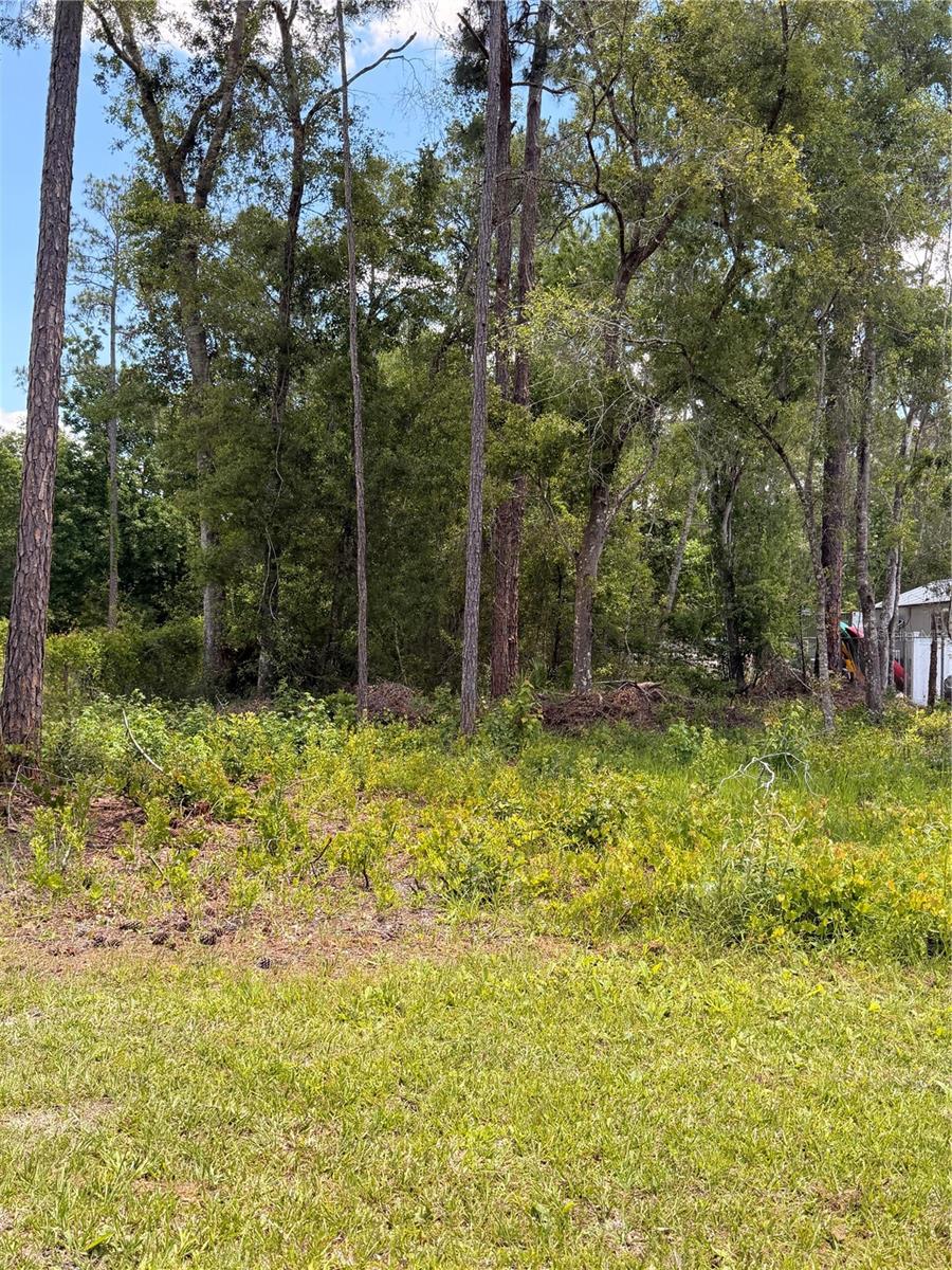 6327 FIG AVE, WEBSTER, FL — photo 2