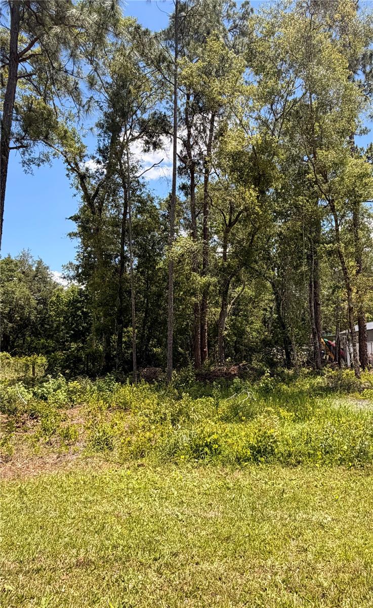 6327 FIG AVE, WEBSTER, FL — photo 3