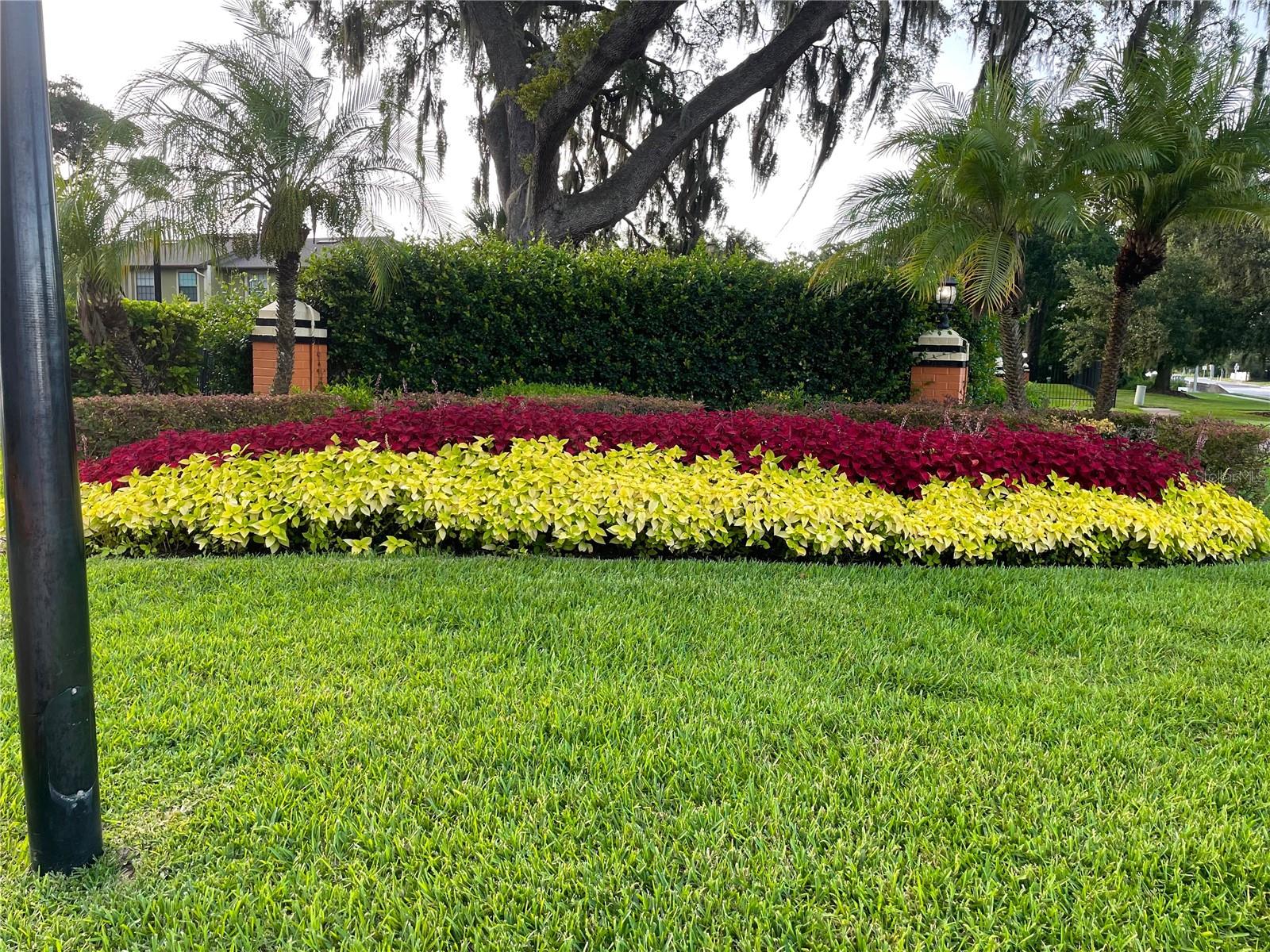 7327 FOREST HILL CT #223, WINTER PARK, FL — photo 2