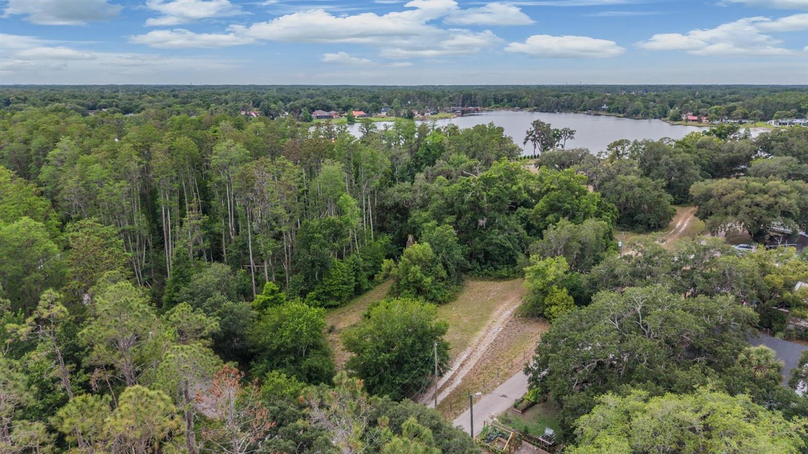 215 LAKE BRANT DR, LUTZ, FL — photo 11