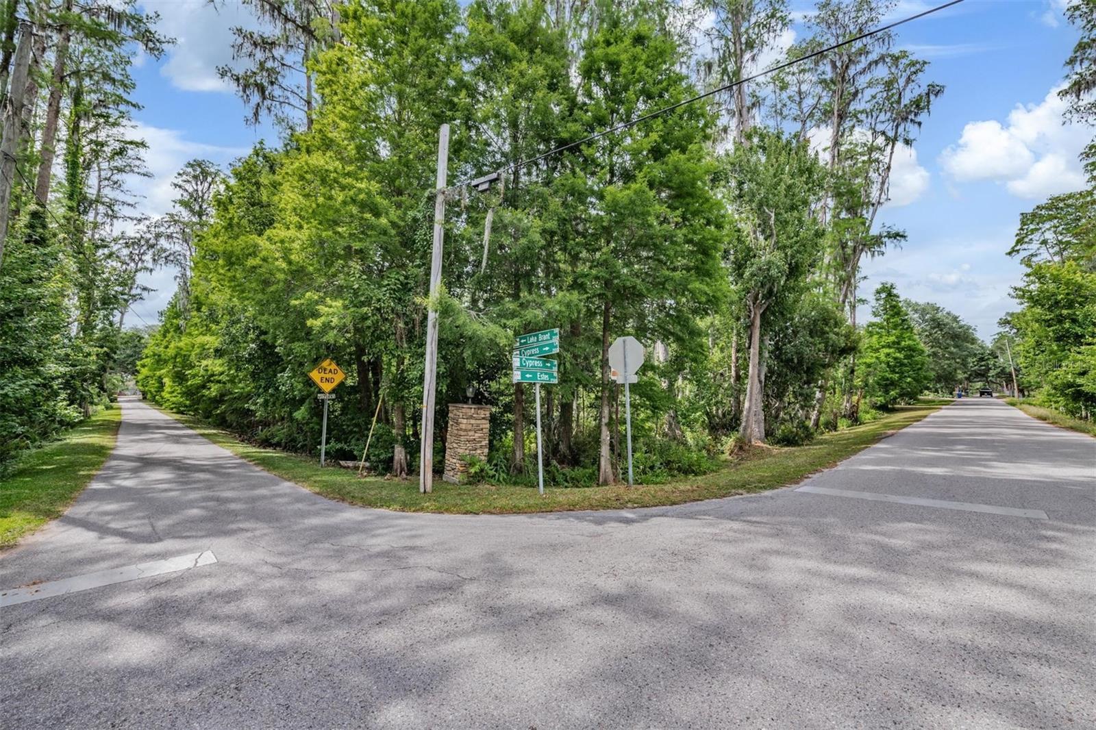 215 LAKE BRANT DR, LUTZ, FL — photo 22