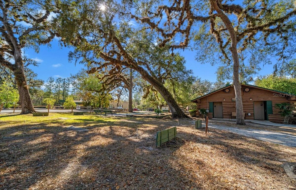 3255 NE 104TH AVE, SILVER SPRINGS, FL — photo 65