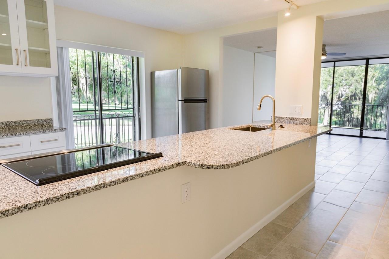 208 LAKE HOWARD DR NW #104, WINTER HAVEN, FL — photo 10