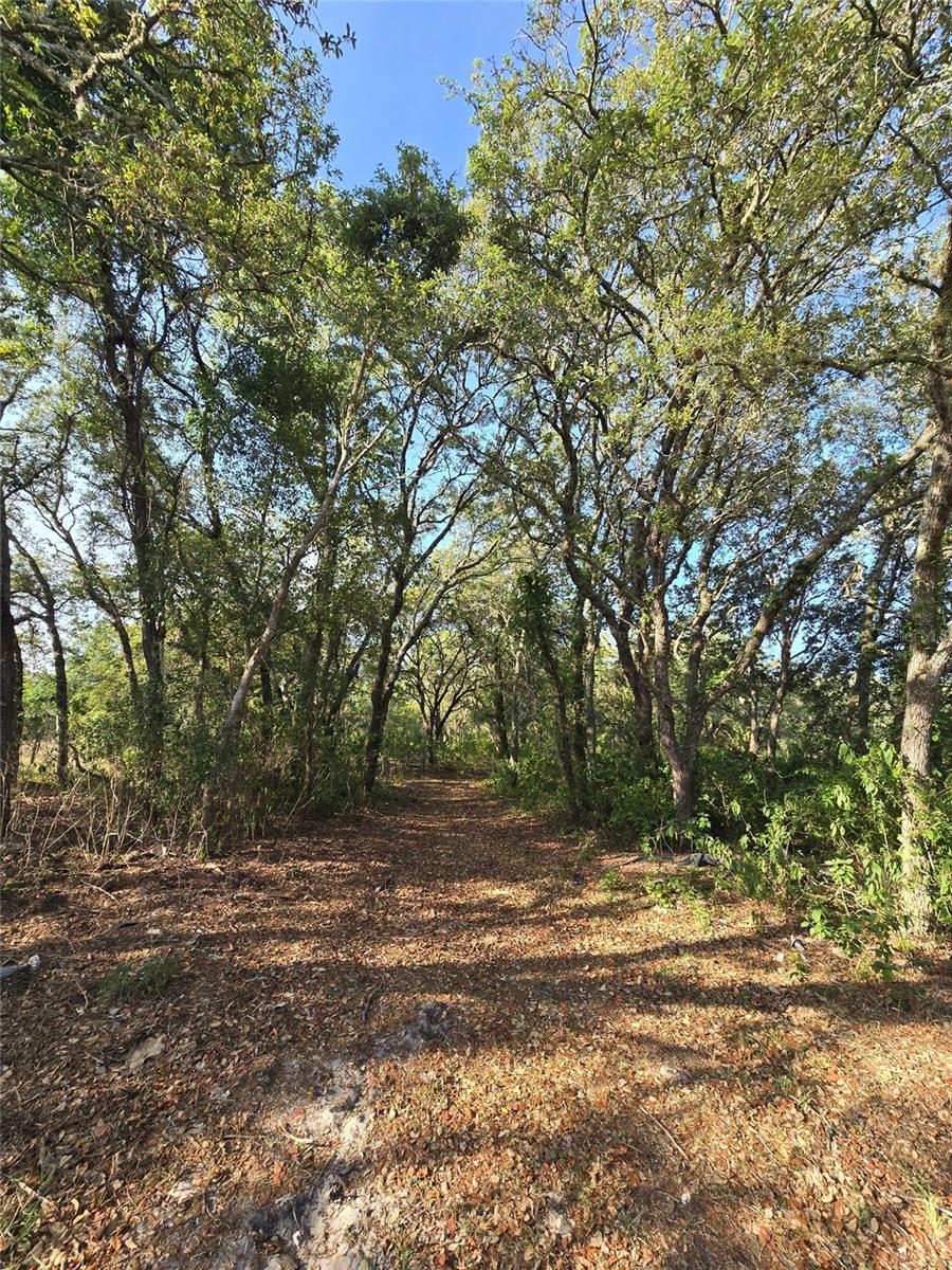 14515 GIDDYUP LN, HUDSON, FL — photo 3