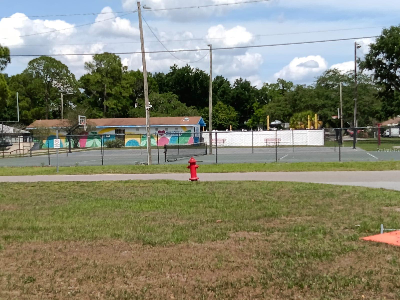1011 NE 2ND ST, MULBERRY, FL — photo 33