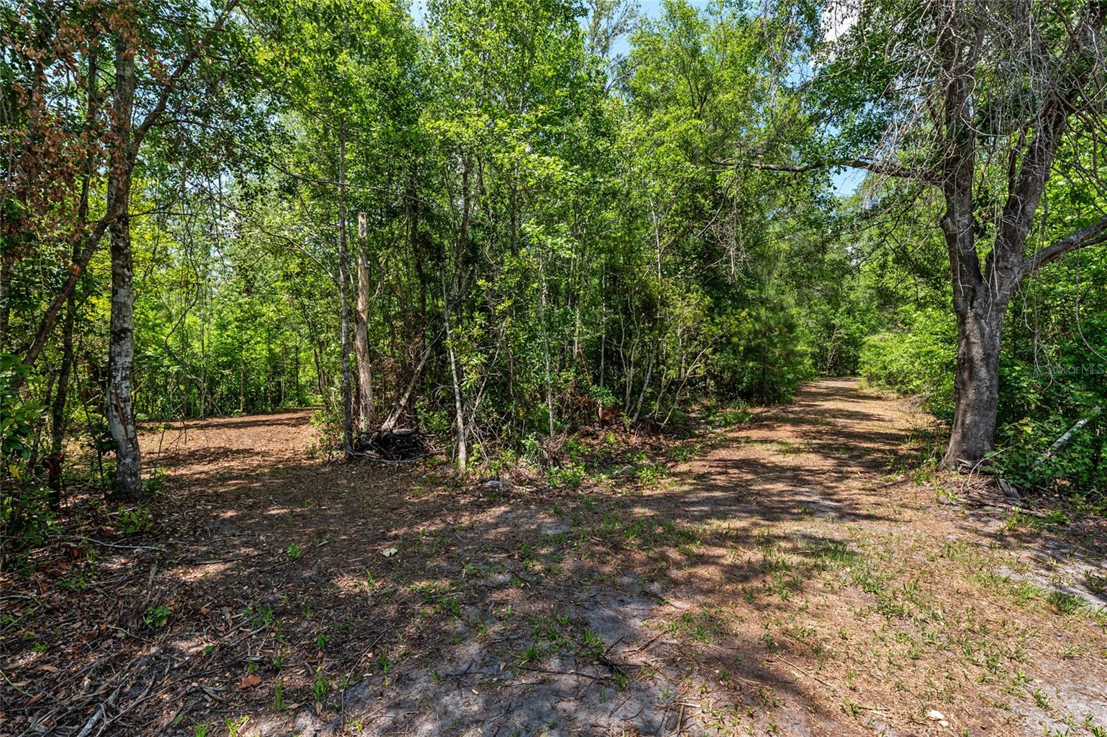 4814 NW 244 AVE, ALACHUA, FL — photo 9