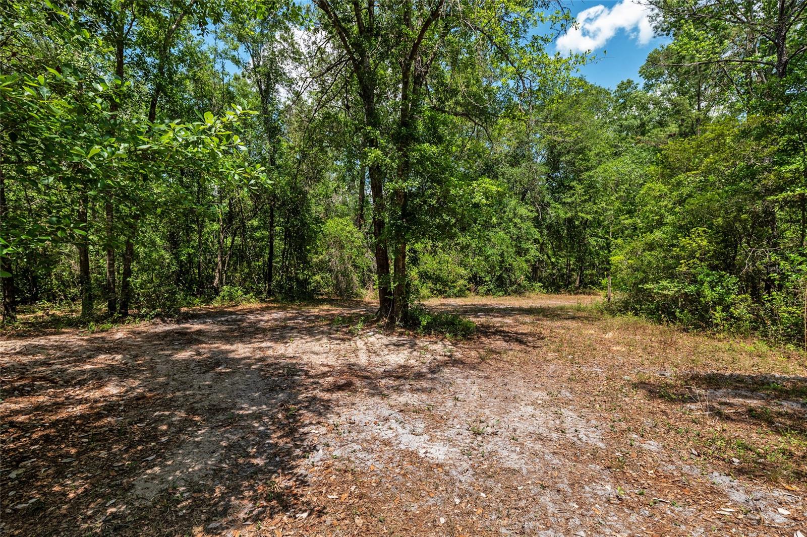 4814 NW 244 AVE, ALACHUA, FL — photo 11