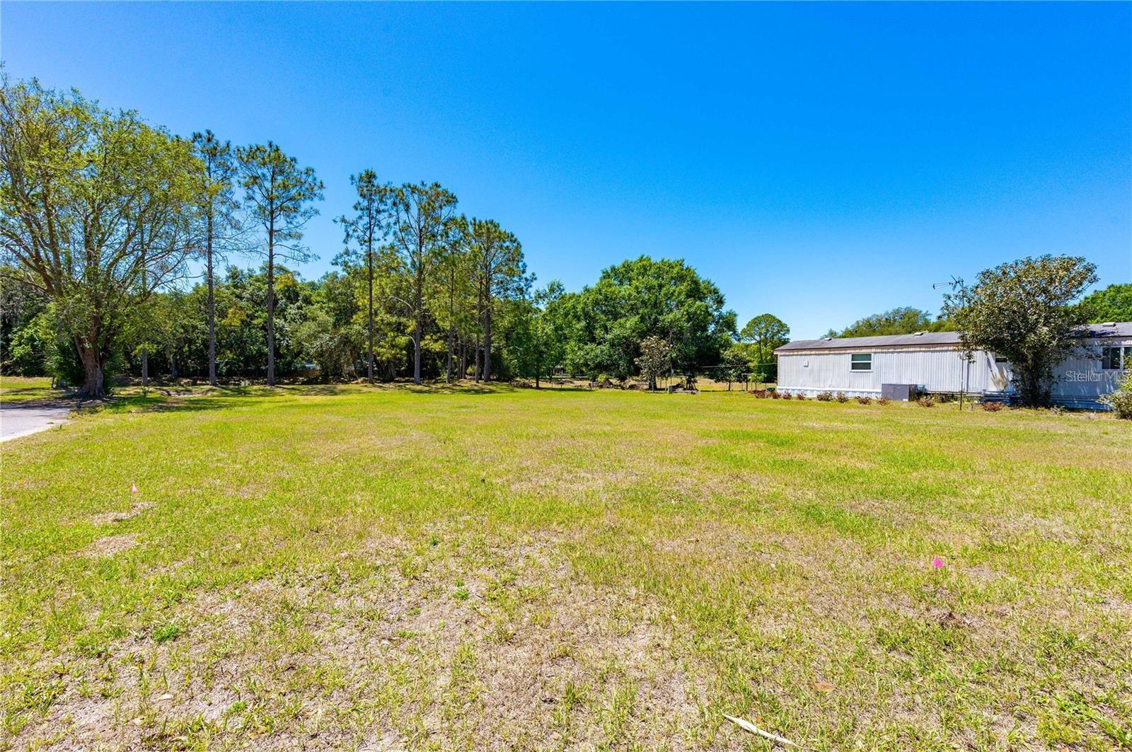 CHRIS DR., WESLEY CHAPEL, FL — photo 2