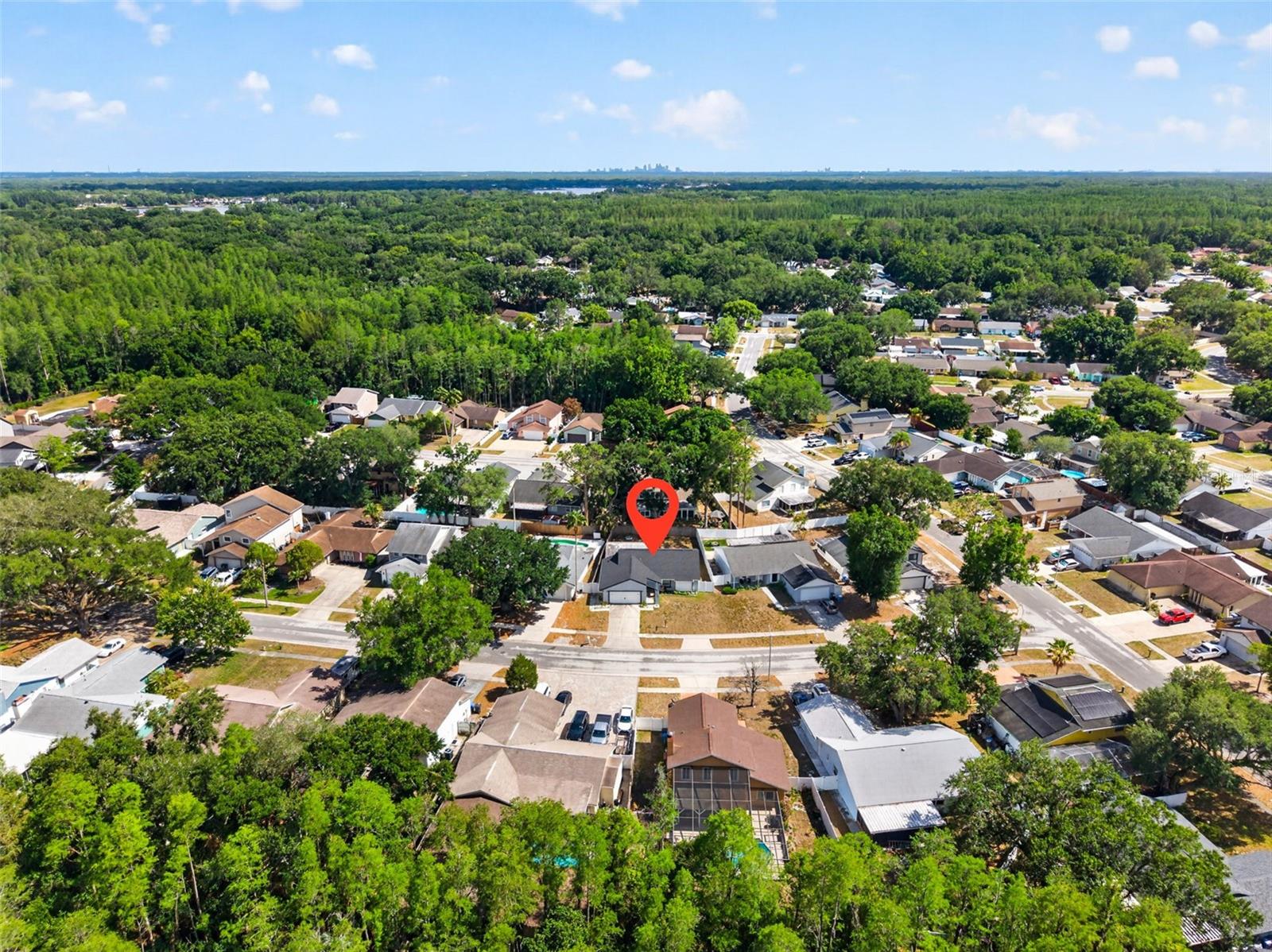 2705 LAKEVILLE DR, TAMPA, FL — photo 29