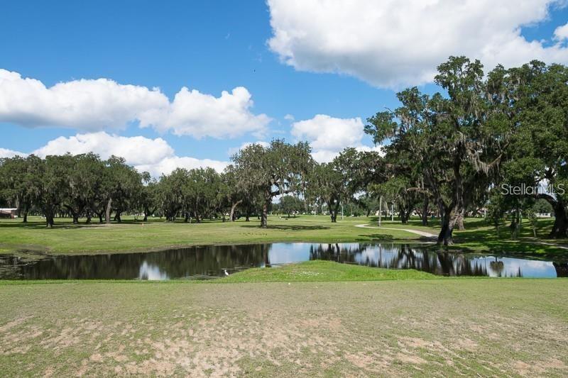6208 HUNTINGTON DRIVE, ZEPHYRHILLS, FL — photo 49