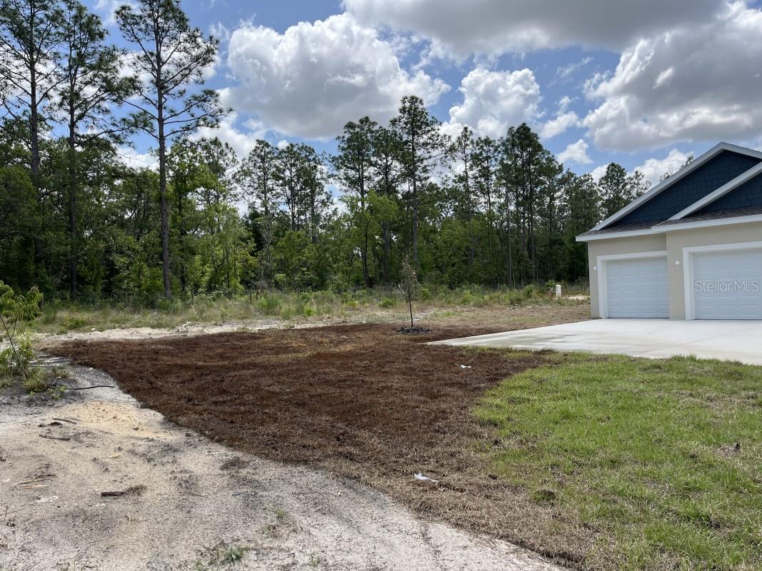 12416 SW 67TH LN, OCALA, FL — photo 3