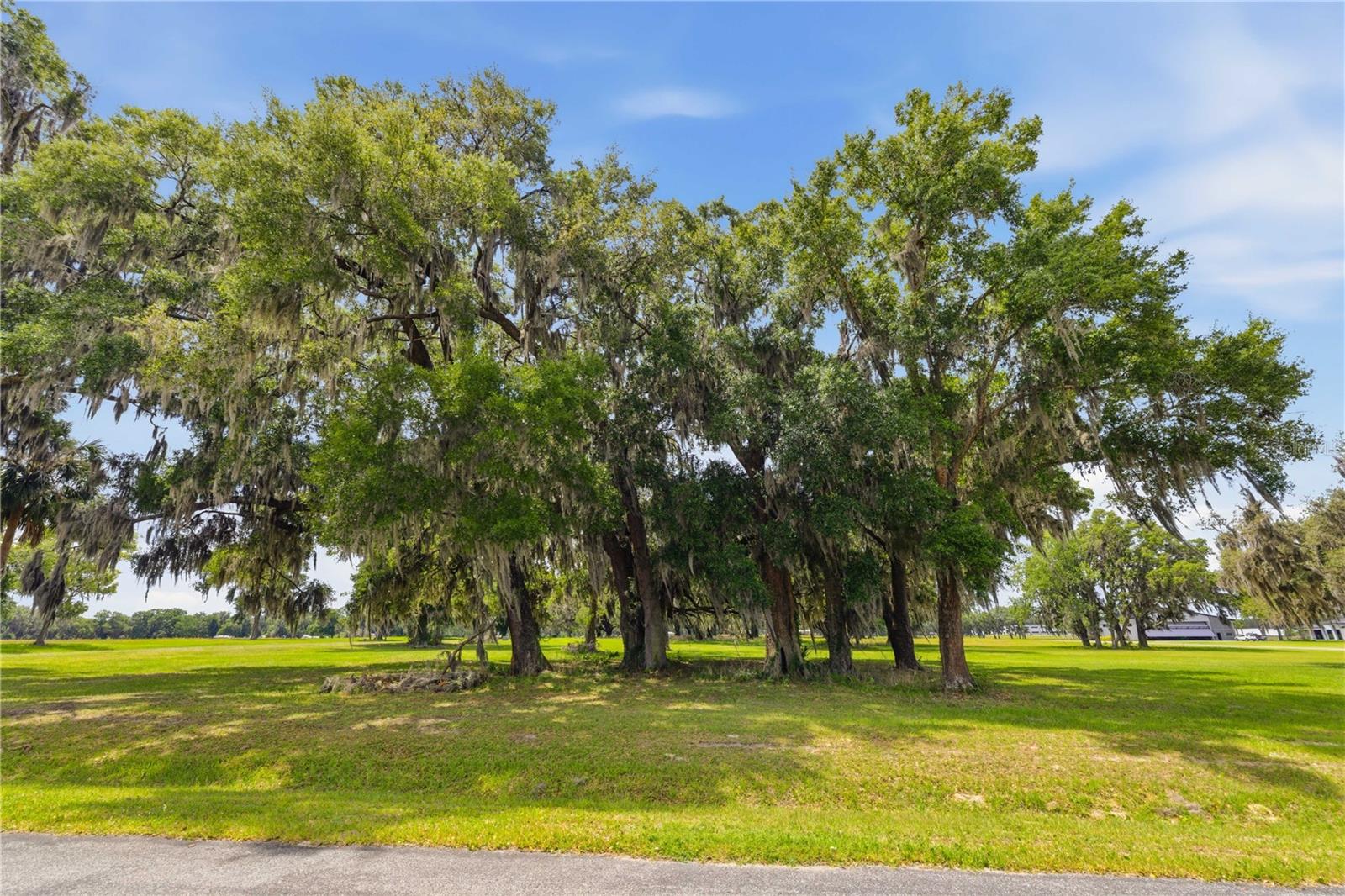 0 NE 16TH TER #Lot 14, OCALA, FL — photo 15