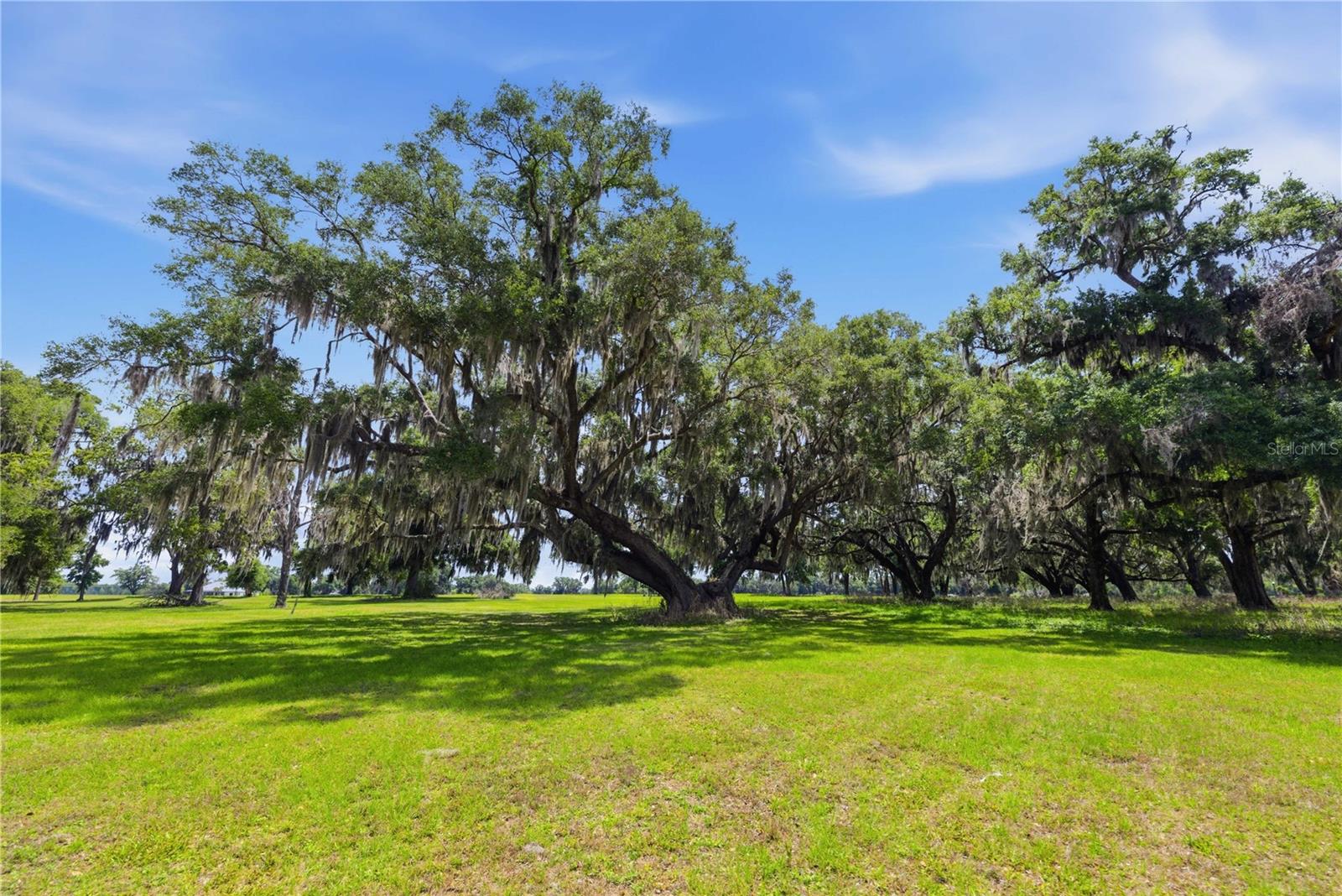 0 NE 16TH TER #Lot 14, OCALA, FL — photo 16