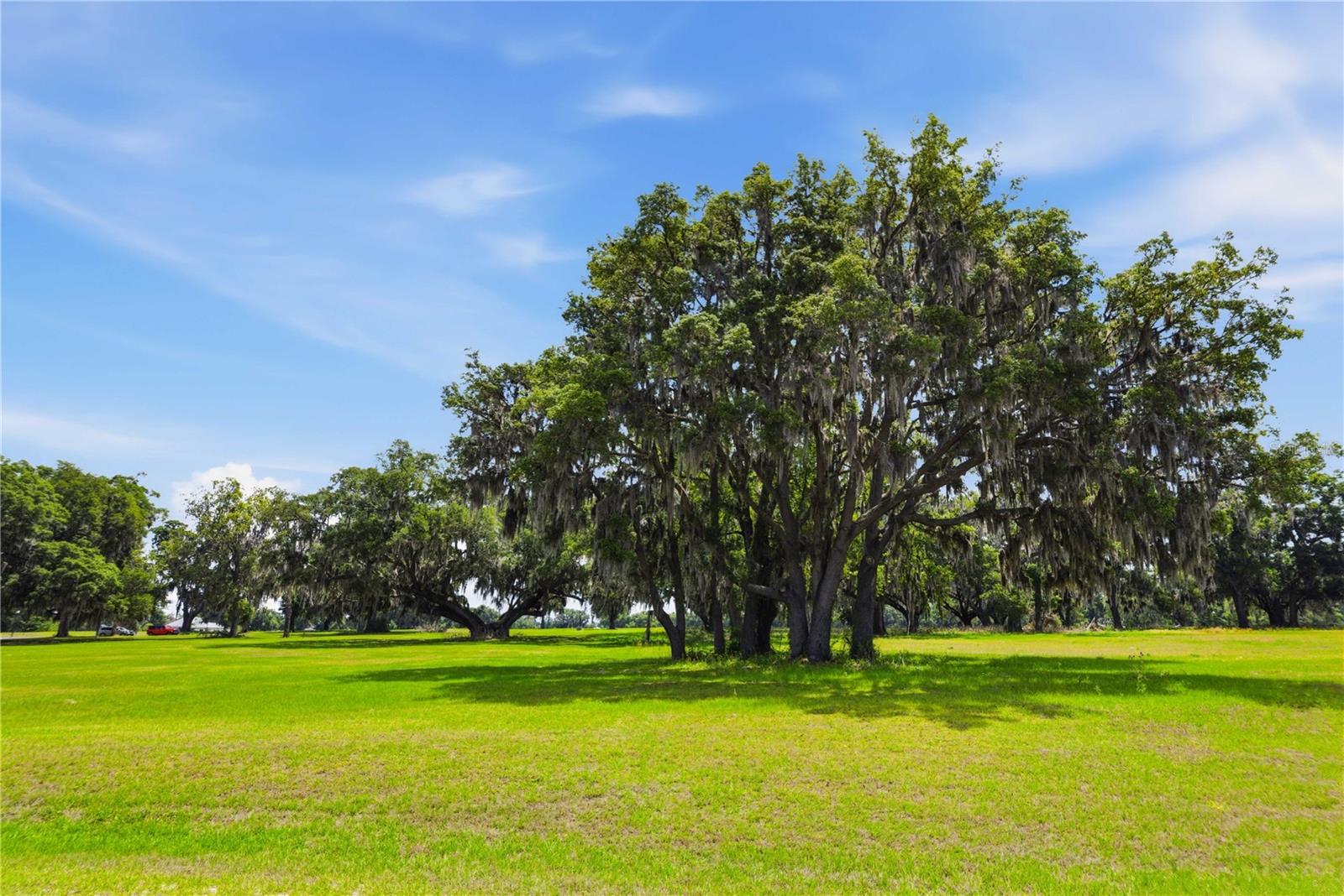 0 NE 16TH TER #Lot 14, OCALA, FL — photo 17