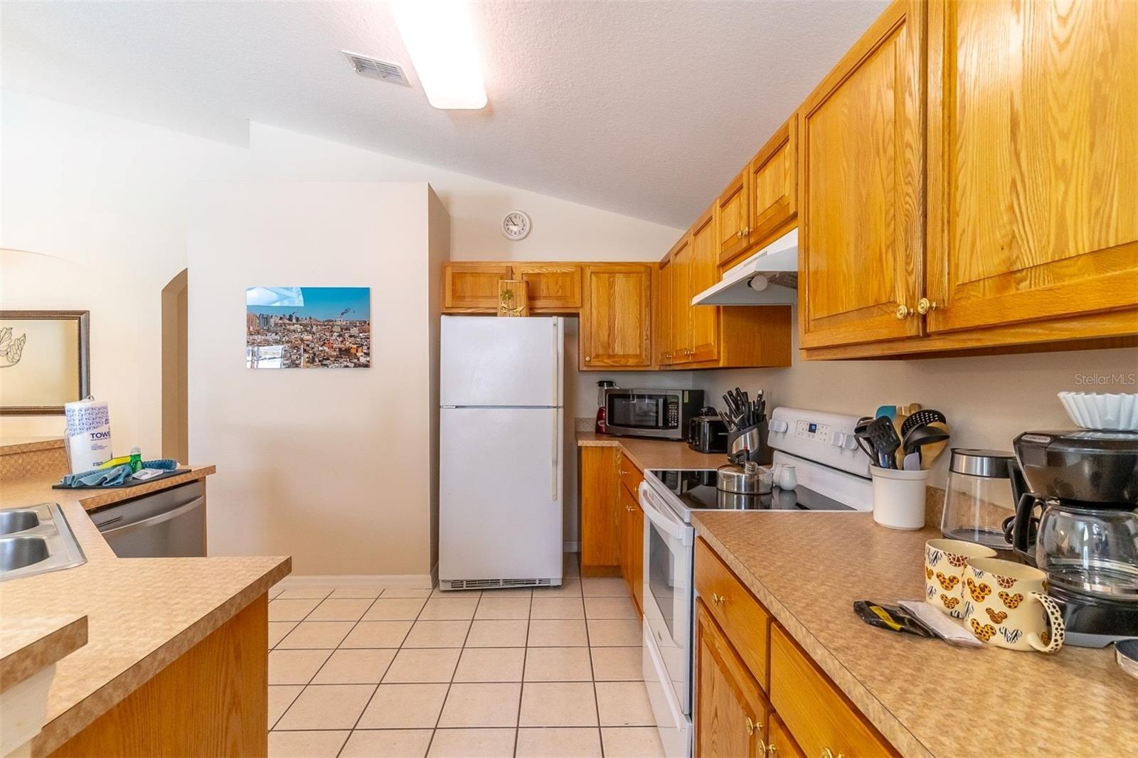 513 BALMORAL DR, DAVENPORT, FL — photo 5