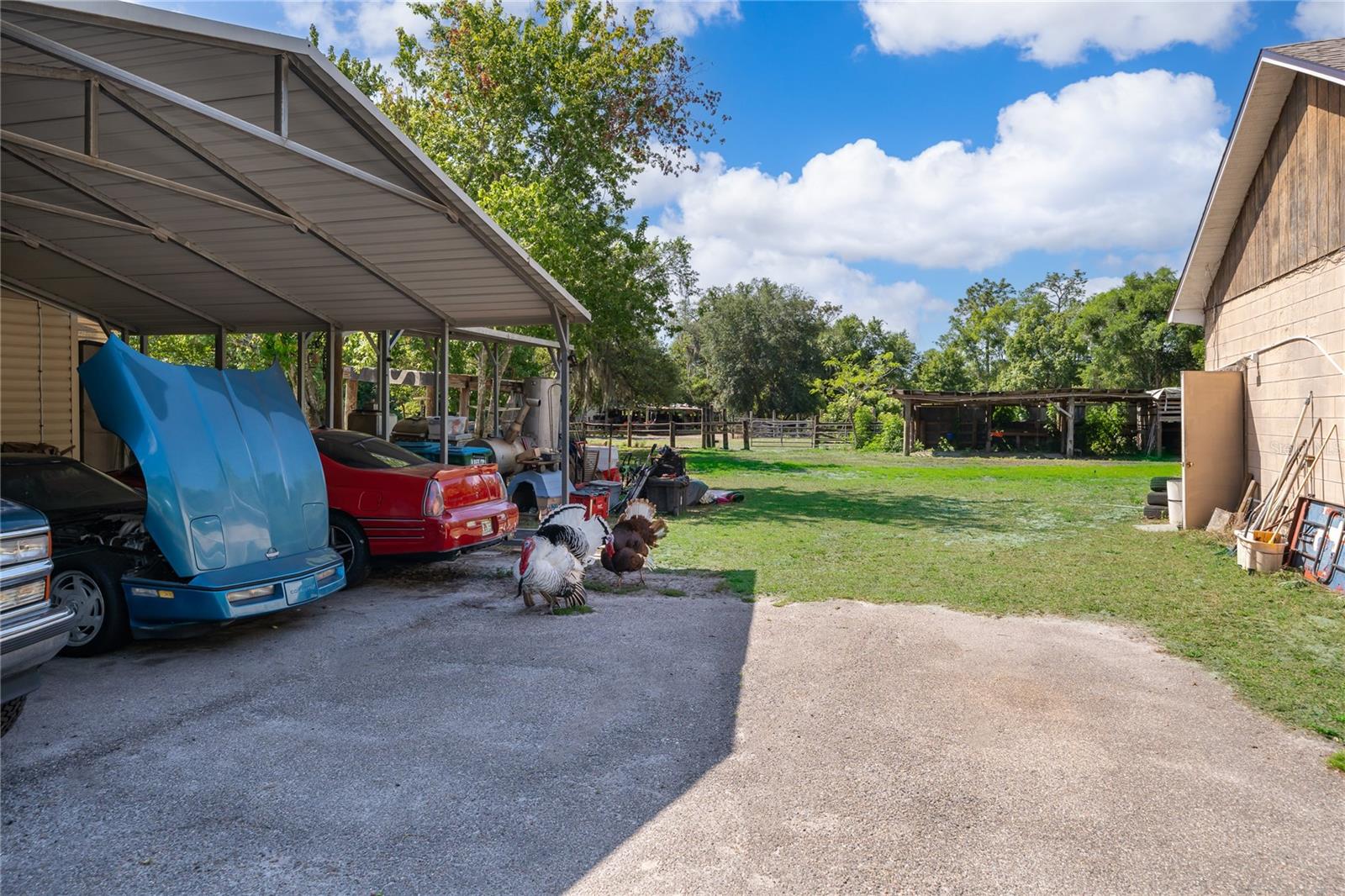 1281 NATURES WAY, WINTER SPRINGS, FL — photo 9