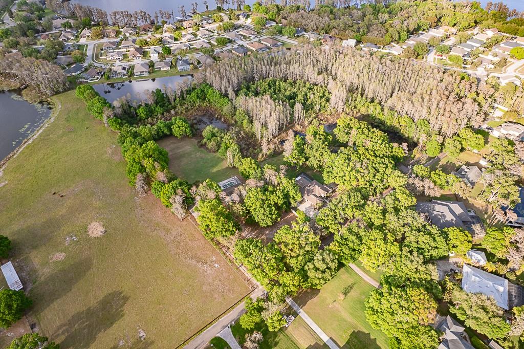 13815 PLAINVIEW RD, ODESSA, FL — photo 4