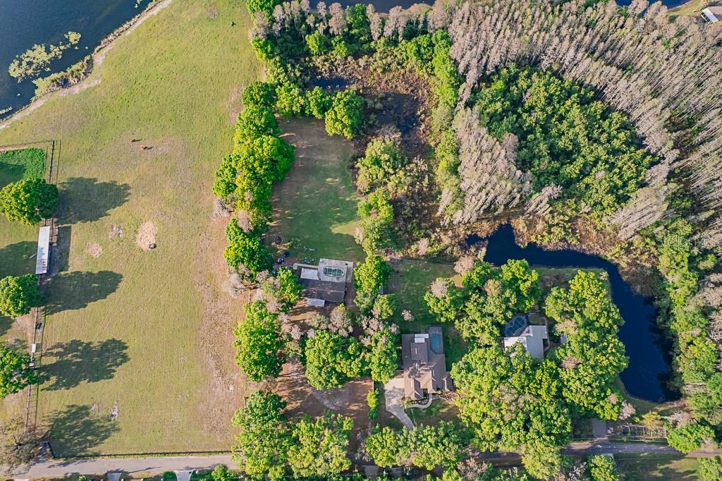 13815 PLAINVIEW RD, ODESSA, FL — photo 6