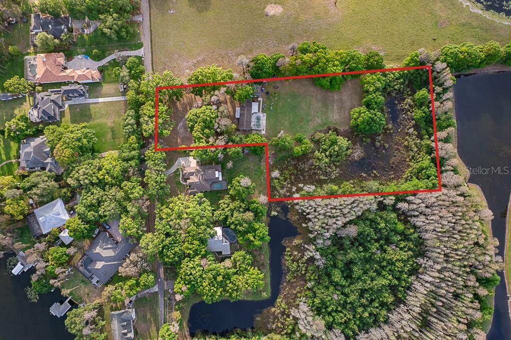 13815 PLAINVIEW RD, ODESSA, FL — photo 10