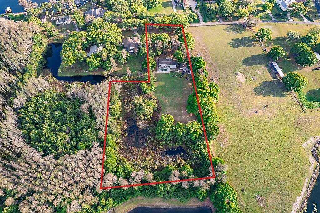 13815 PLAINVIEW RD, ODESSA, FL — photo 12