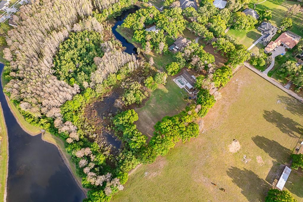 13815 PLAINVIEW RD, ODESSA, FL — photo 13