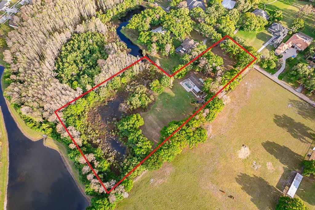 13815 PLAINVIEW RD, ODESSA, FL — photo 14