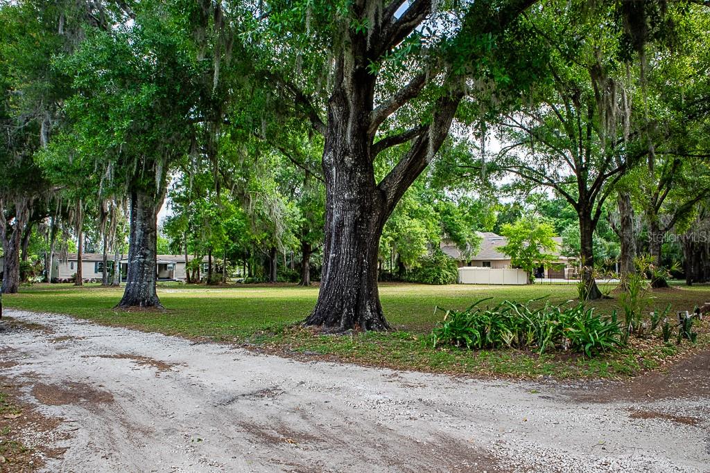 13815 PLAINVIEW RD, ODESSA, FL — photo 19