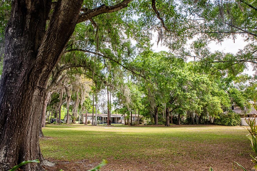 13815 PLAINVIEW RD, ODESSA, FL — photo 23