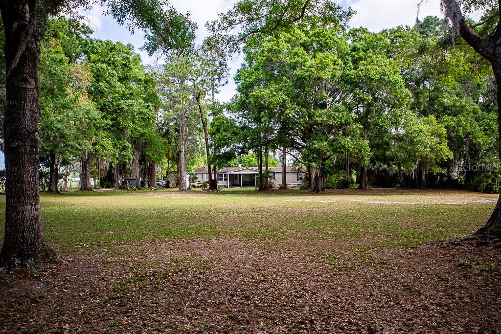 13815 PLAINVIEW RD, ODESSA, FL — photo 24