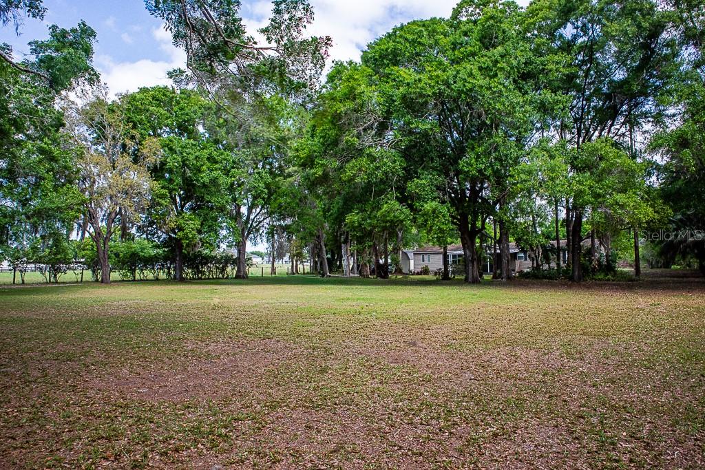 13815 PLAINVIEW RD, ODESSA, FL — photo 25