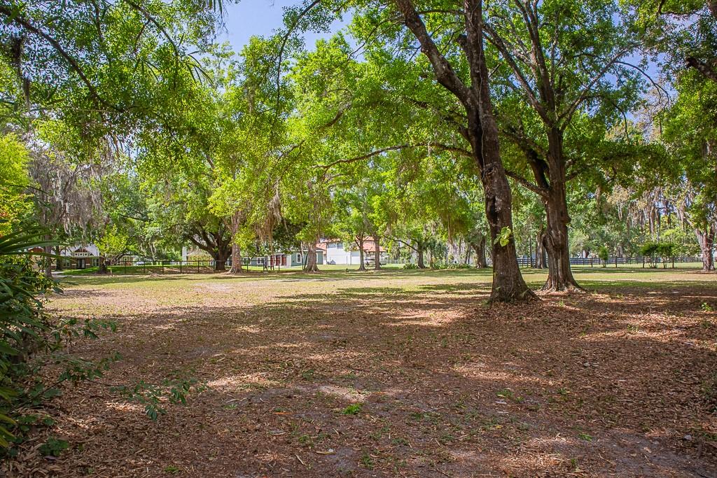13815 PLAINVIEW RD, ODESSA, FL — photo 27