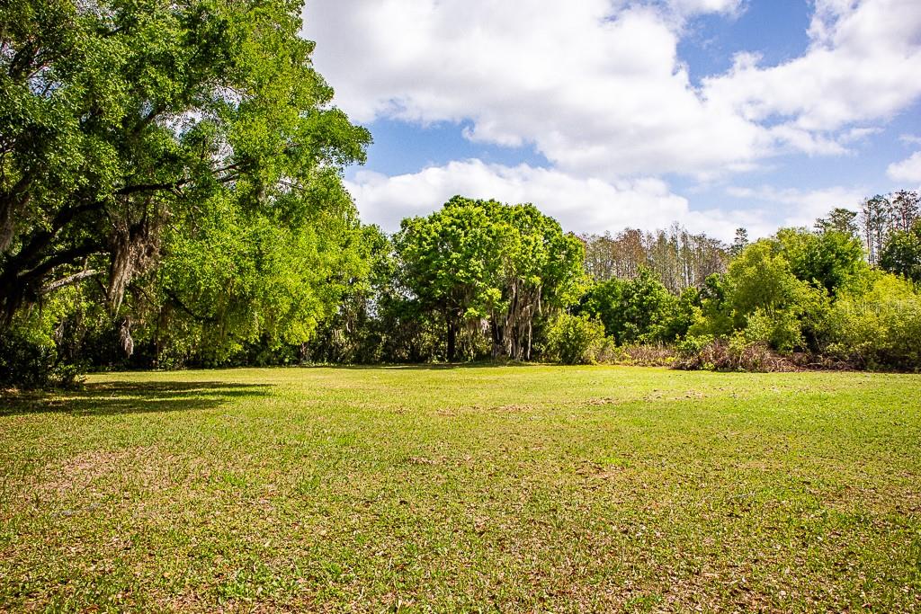 13815 PLAINVIEW RD, ODESSA, FL — photo 28
