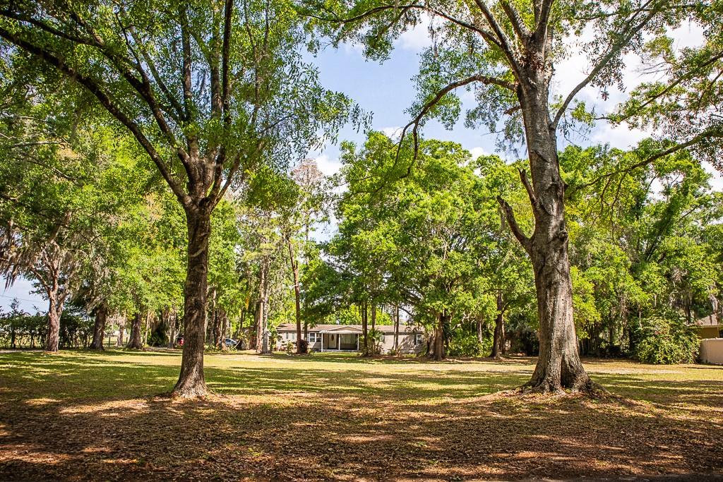13815 PLAINVIEW RD, ODESSA, FL — photo 33