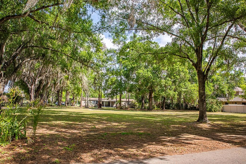 13815 PLAINVIEW RD, ODESSA, FL — photo 34