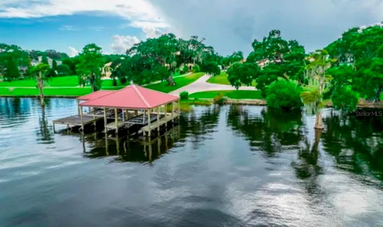 11715 TAYLOR RD, THONOTOSASSA, FL — photo 6