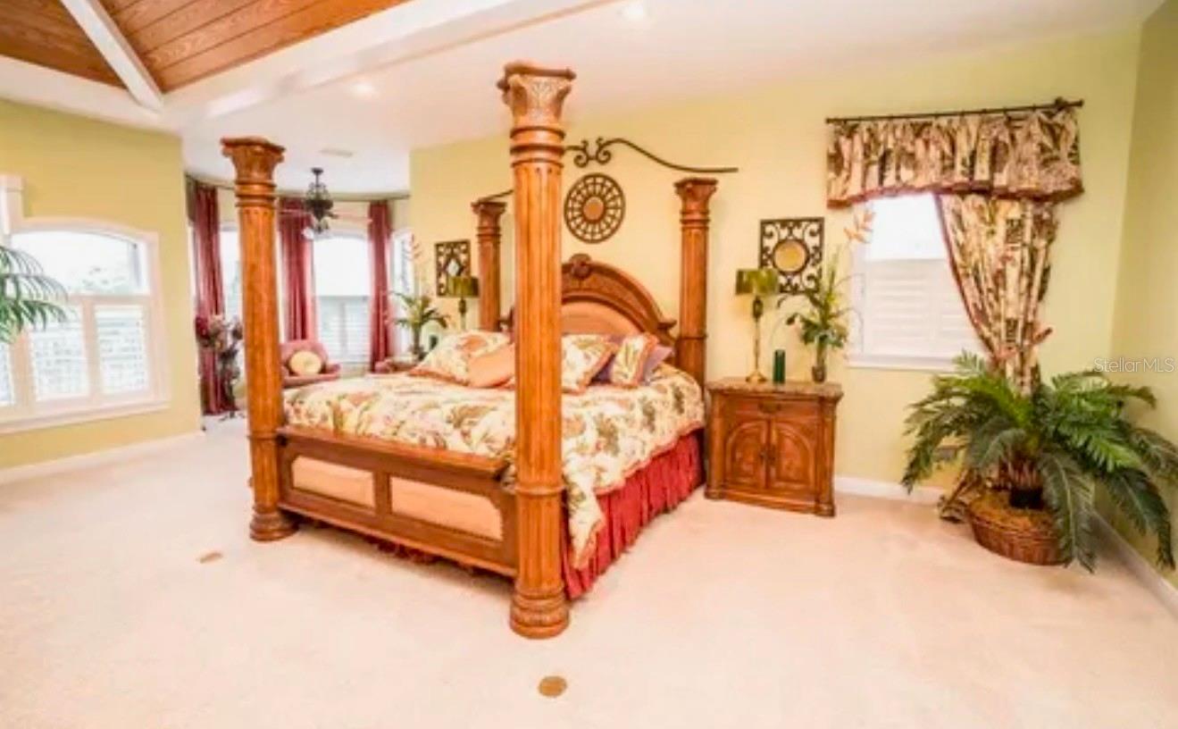 11715 TAYLOR RD, THONOTOSASSA, FL — photo 22