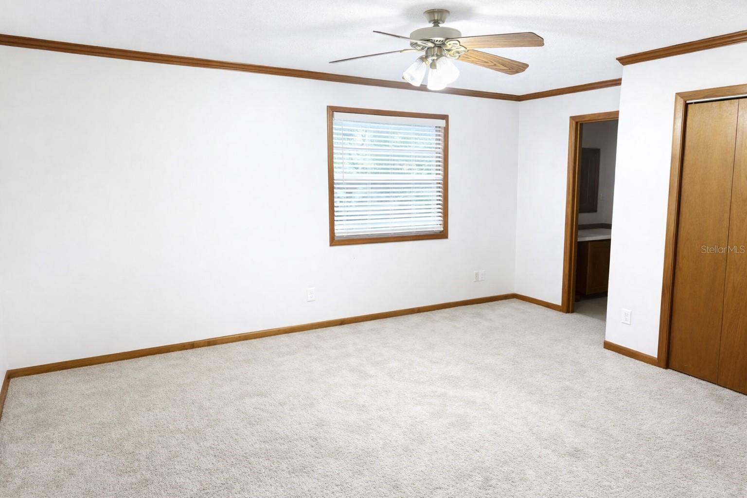 10019 CURLEY RD, SAN ANTONIO, FL — photo 6