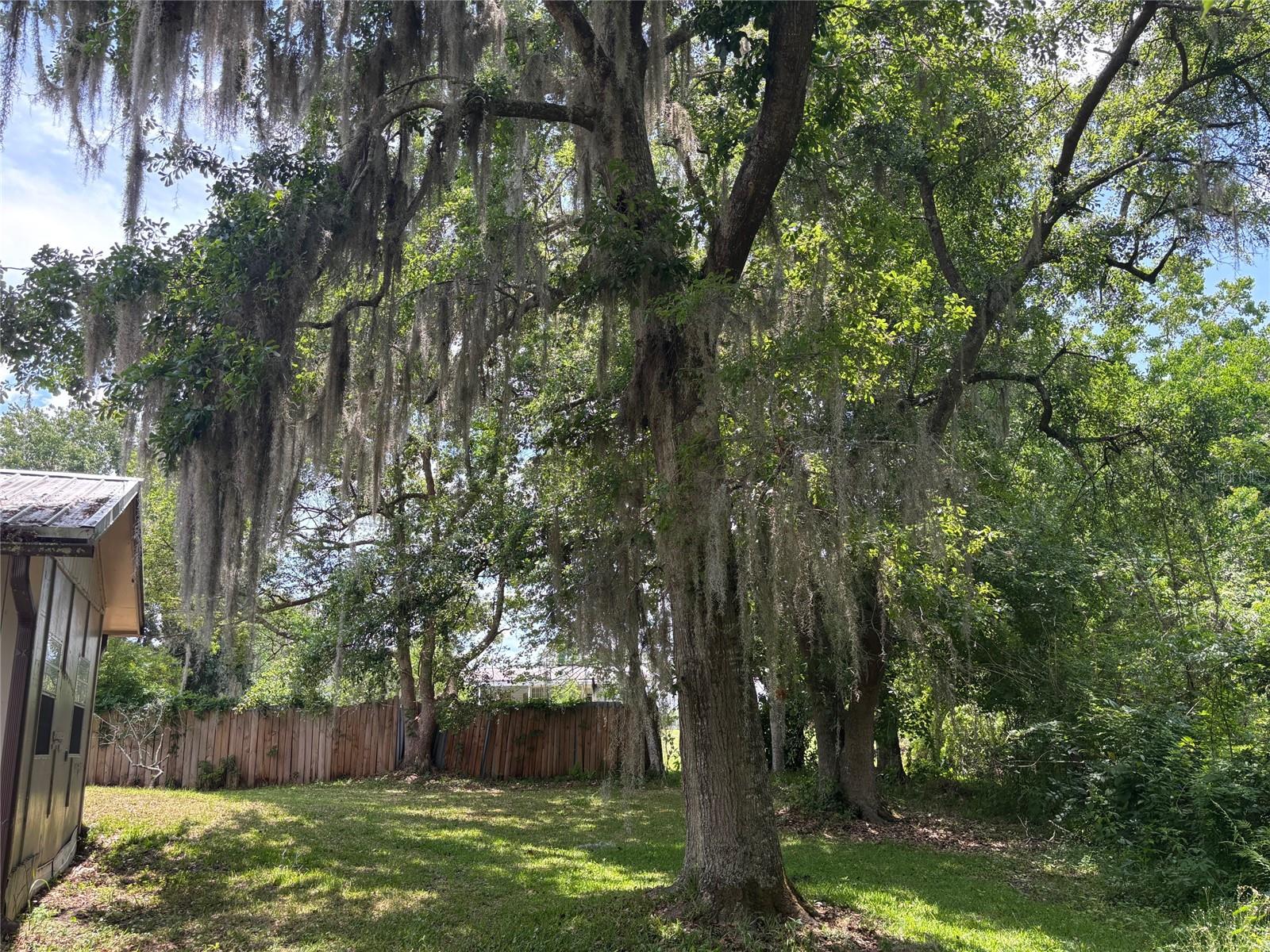 333 RIVIERA DR, CRESCENT CITY, FL — photo 22