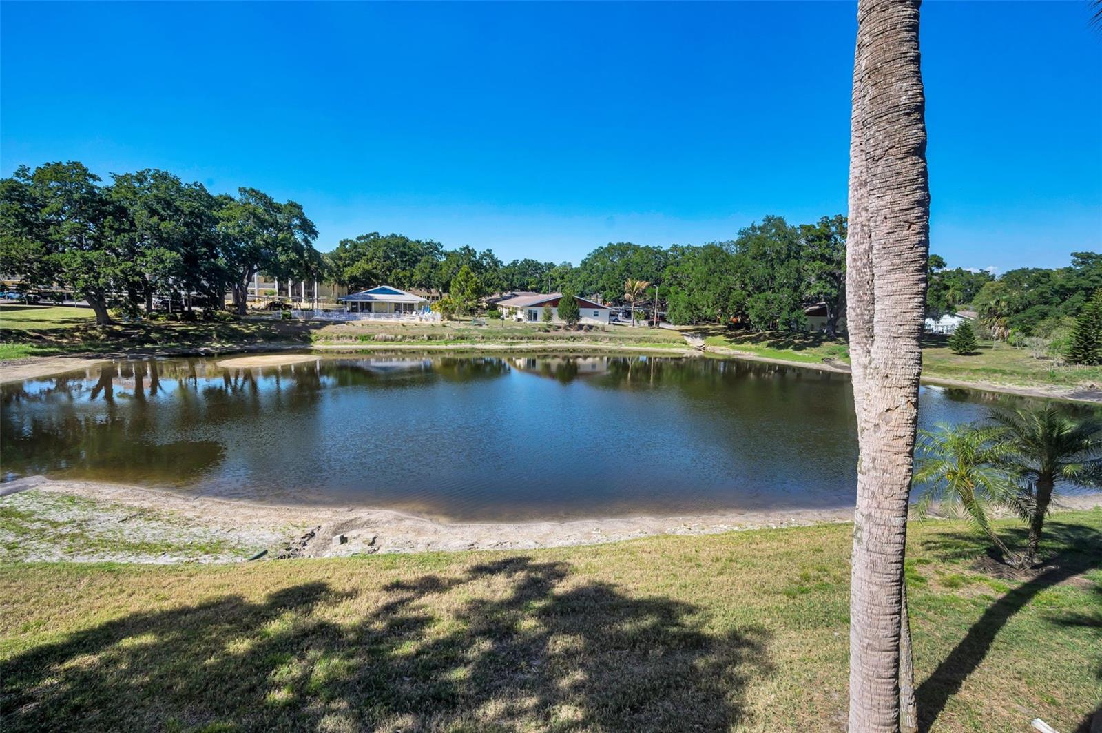 936 VIRGINIA ST #201, DUNEDIN, FL — photo 23