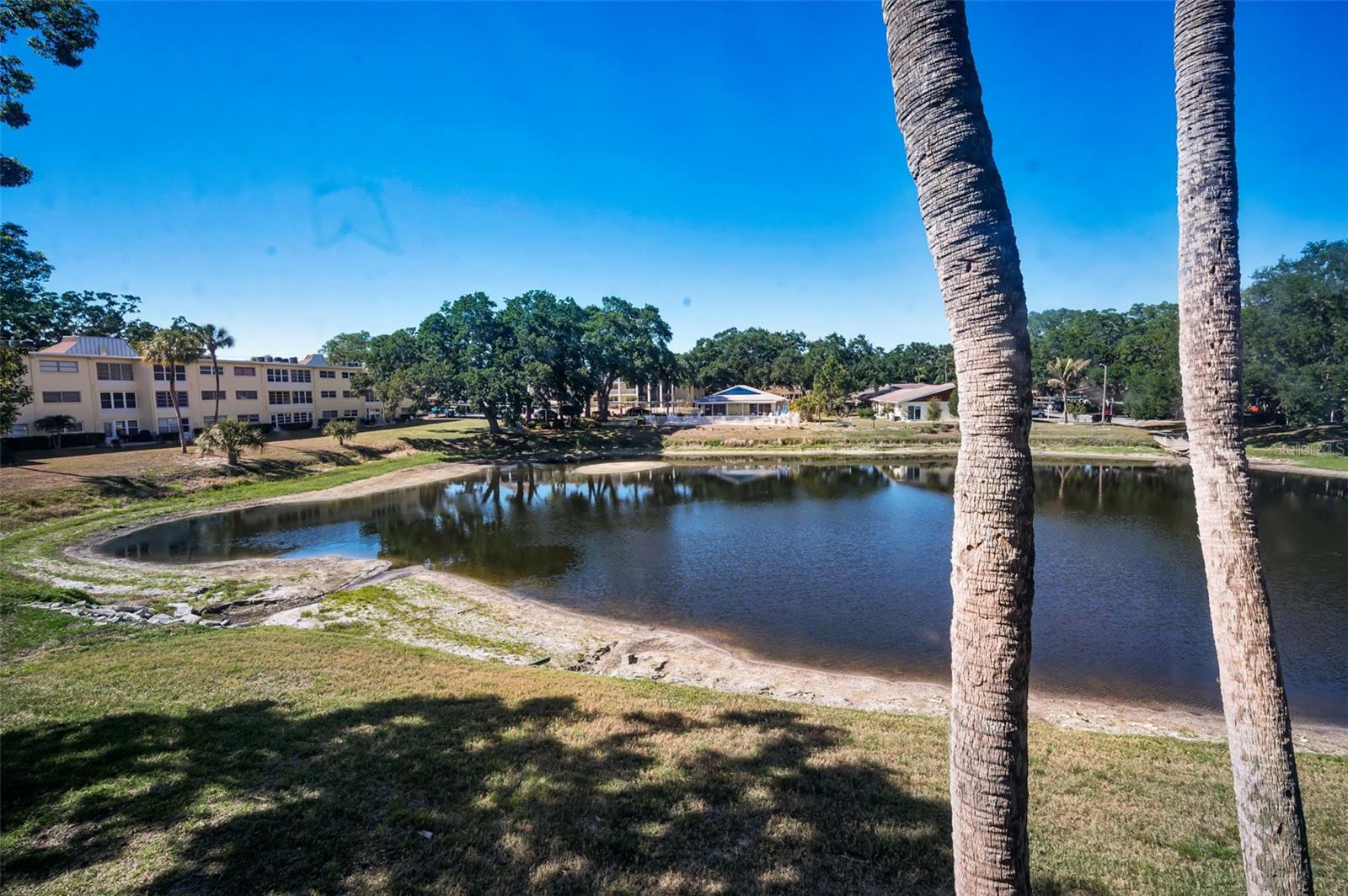936 VIRGINIA ST #201, DUNEDIN, FL — photo 24