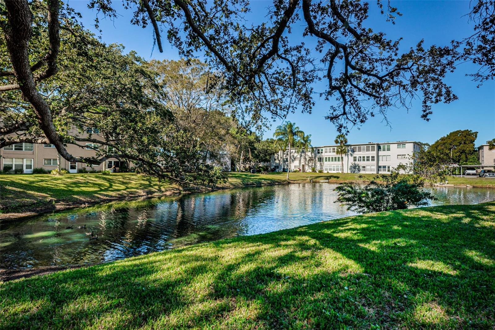 936 VIRGINIA ST #201, DUNEDIN, FL — photo 27