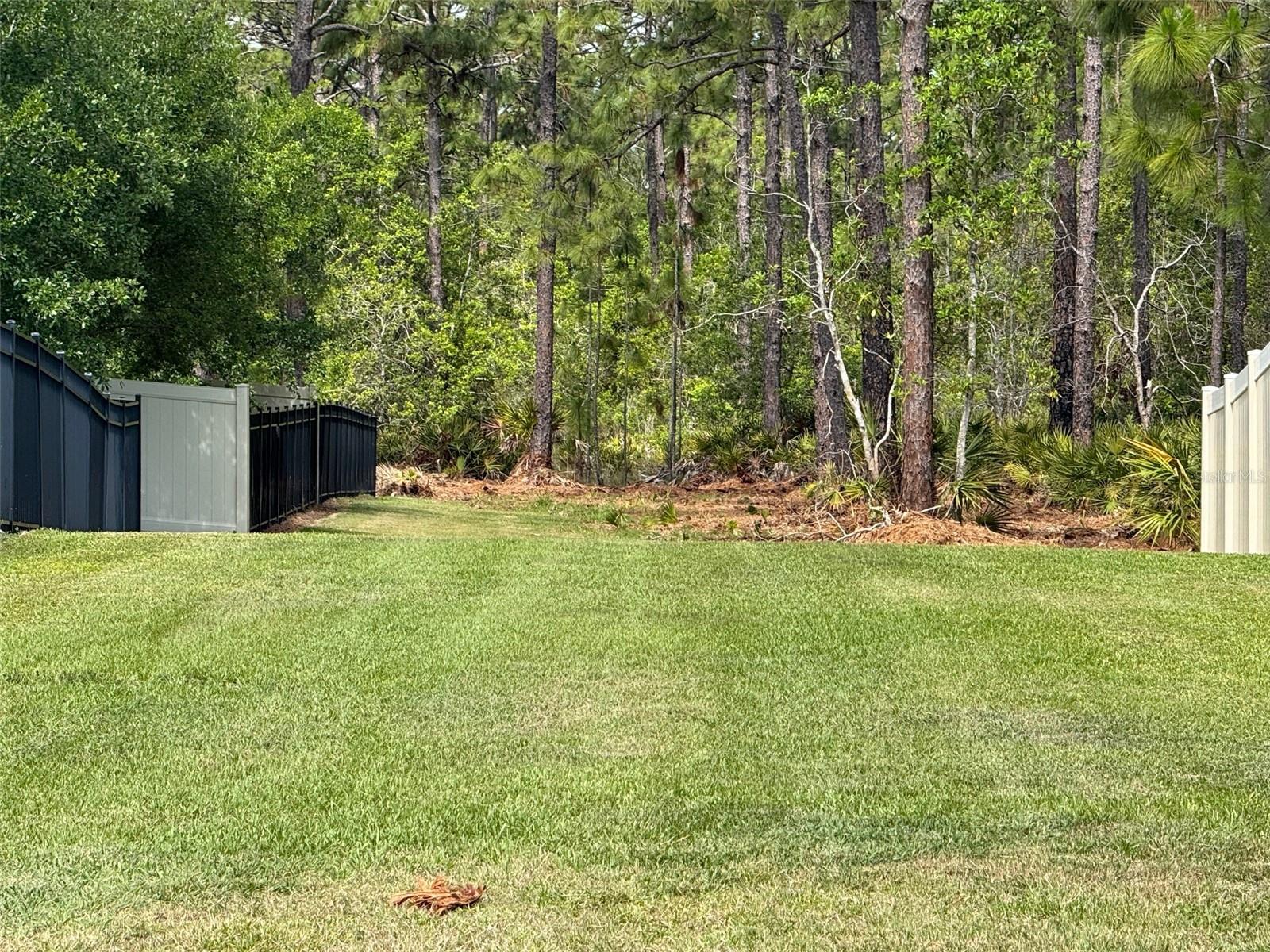 S APOPKA VINELAND RD, ORLANDO, FL — photo 9