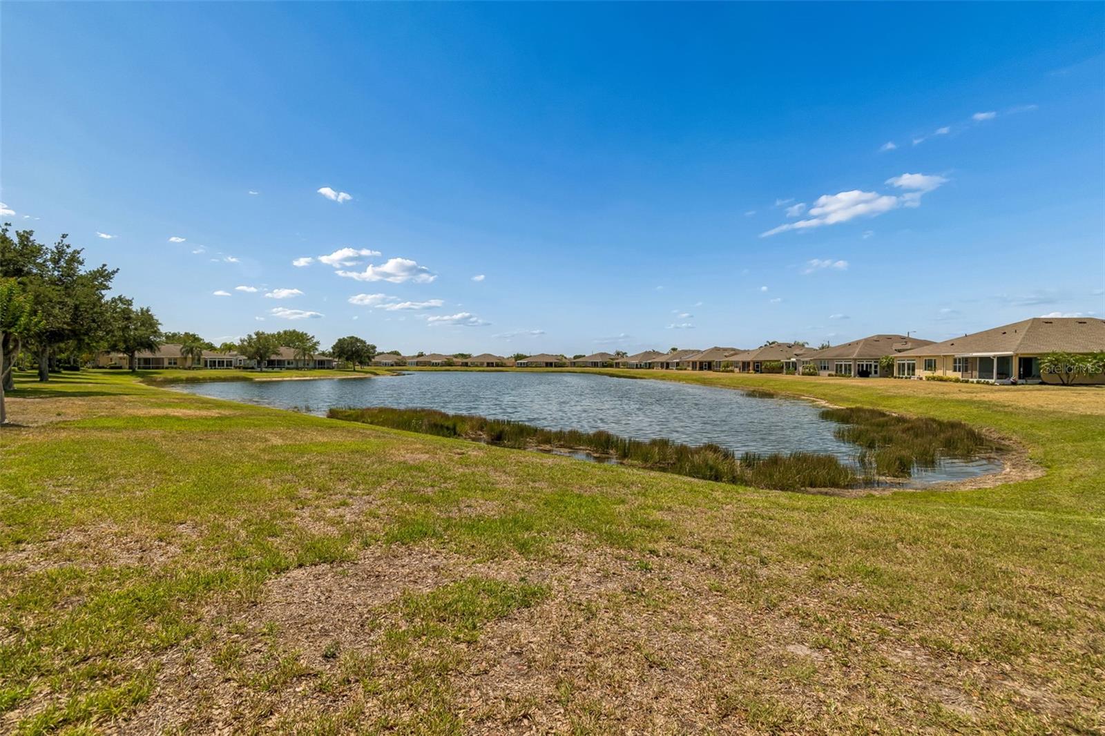 2011 SIFIELD GREENS WAY #71, SUN CITY CENTER, FL — photo 53