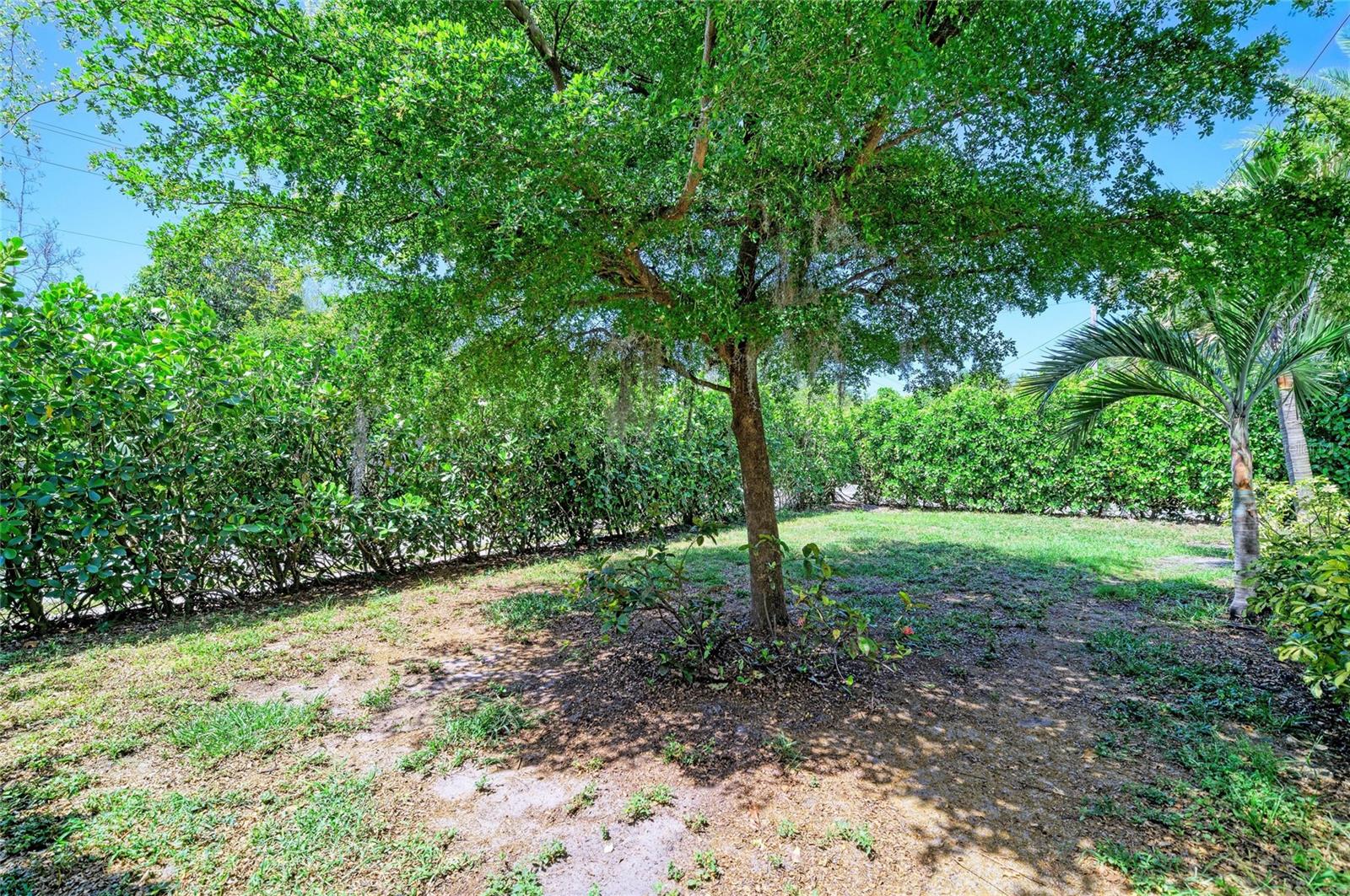 3710 RILMA AVE, SARASOTA, FL — photo 33