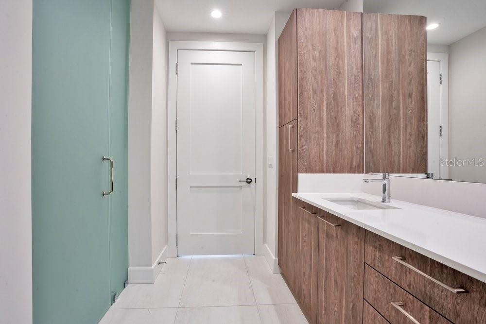 275 1ST AVE S #3808, ST PETERSBURG, FL — photo 42