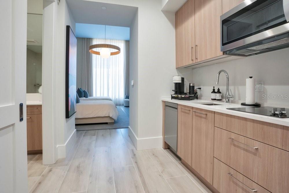 275 1ST AVE S #3808, ST PETERSBURG, FL — photo 66