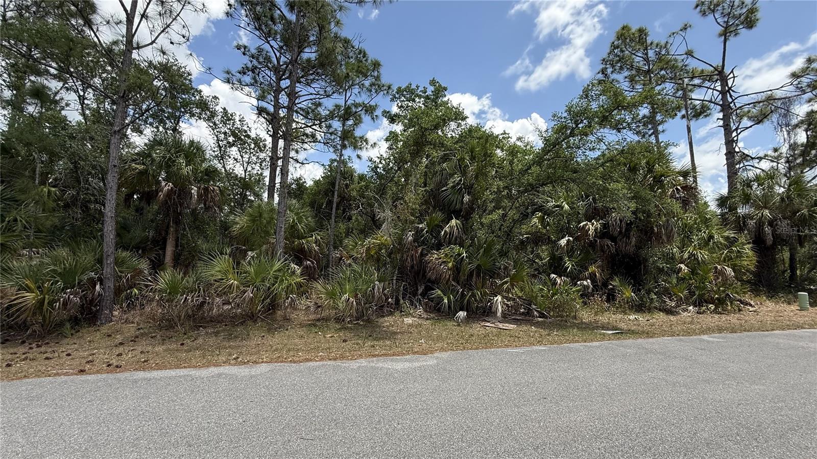 384 MUNOZ ST, PORT CHARLOTTE, FL — photo 3