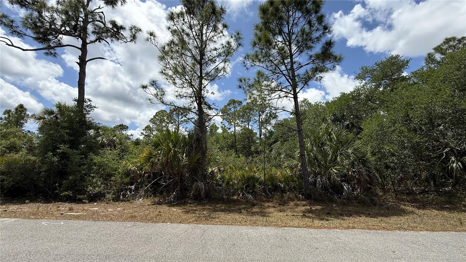 384 MUNOZ ST, PORT CHARLOTTE, FL — photo 6