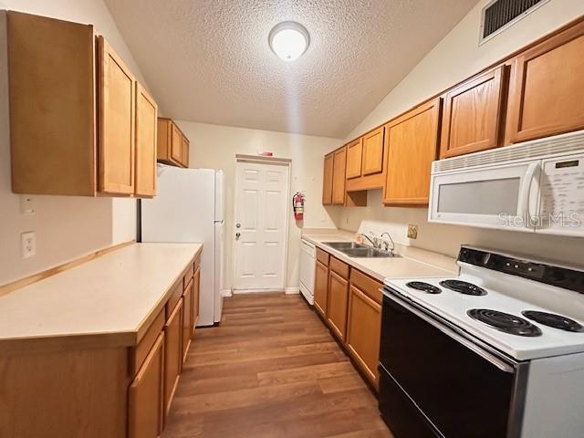 542 E CAROLINE ST, TAVARES, FL — photo 5