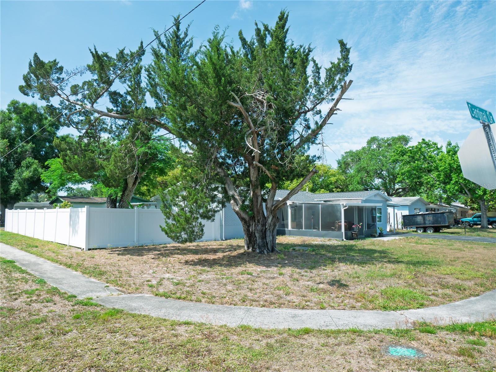 6436 CARDINAL DR, CLEARWATER, FL — photo 32